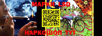 прущие крисы Будённовск