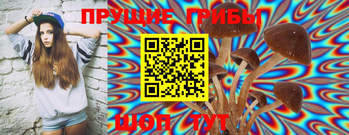 Тверь  Псилоцибиновые грибы Magic Shrooms  Вход с VPN 
