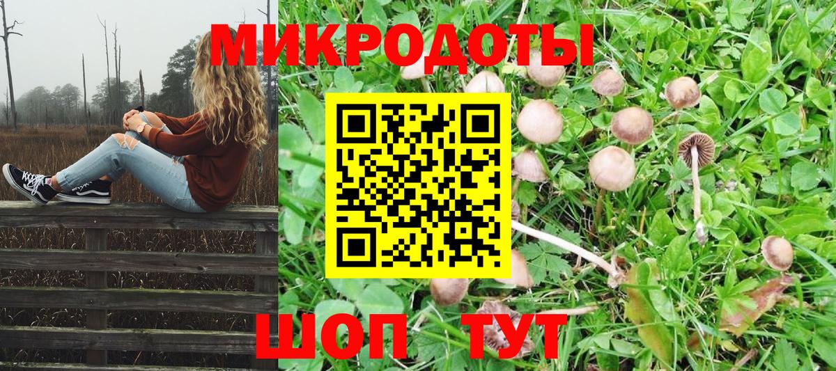 Галлюциногенные грибы Cubensis Тверь